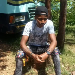 Team Leader