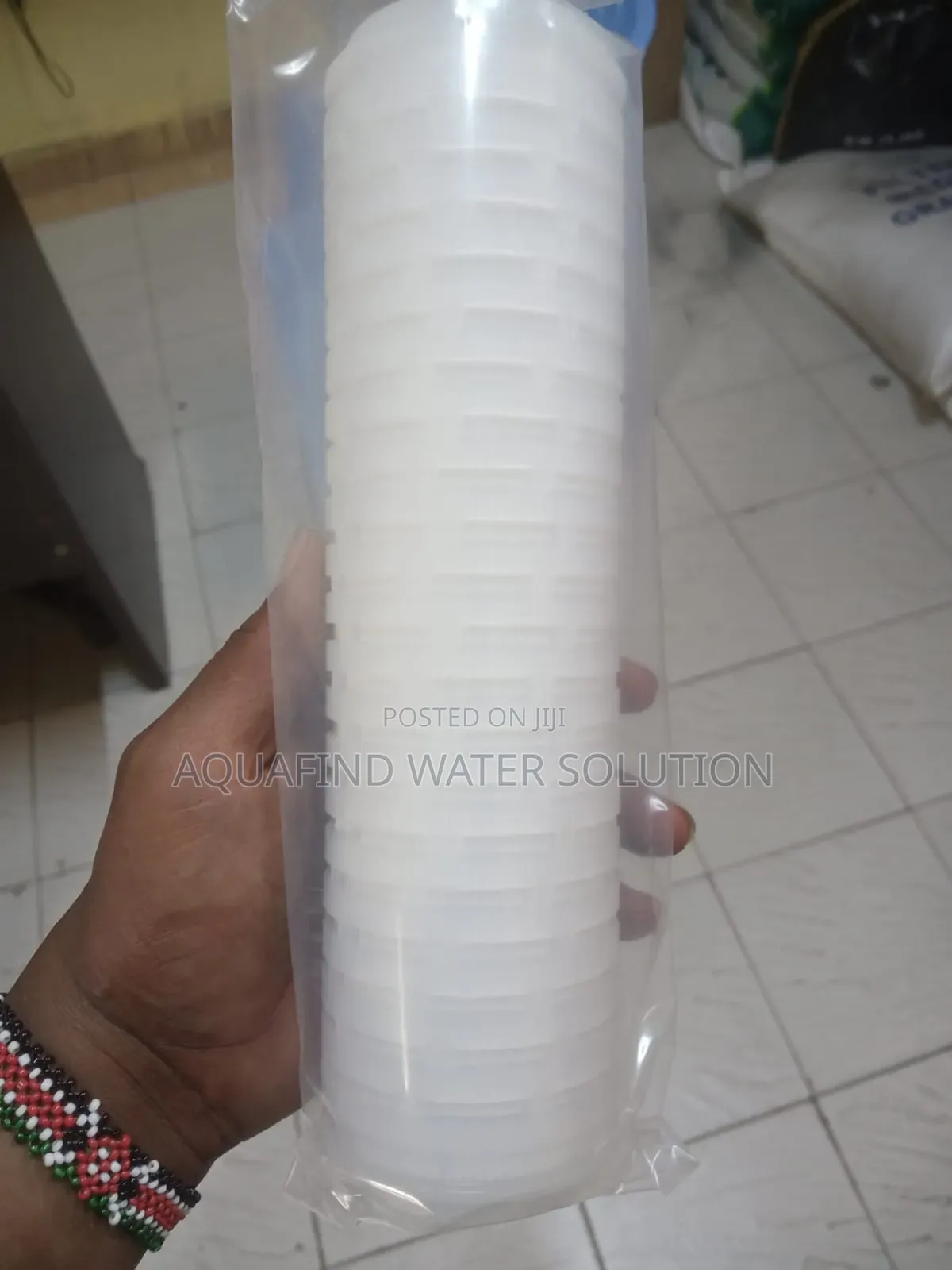 Pleated Filter 10"
