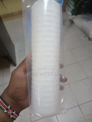 Pleated Filter 10"