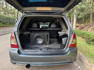 Mitsubishi Outlander 2008 Gray
