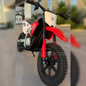 Electric Dirt Bike