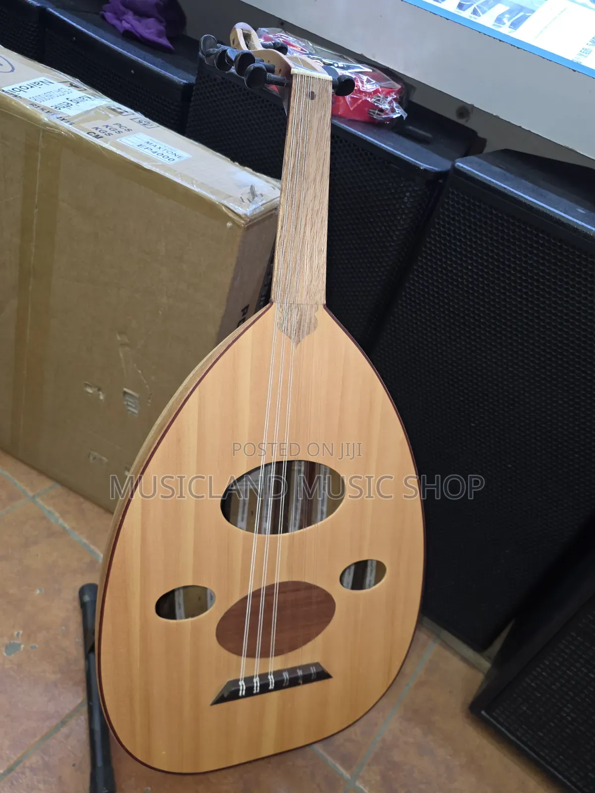 Oud Instrument