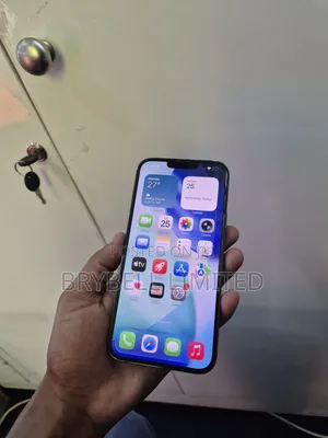 Apple iPhone 13 Pro Max 256 GB Gray