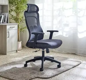 Modern Mesh Back Ergonomic Swivel Chair