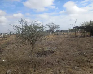 1⁄4 an Acre for Sale in Syokimau
