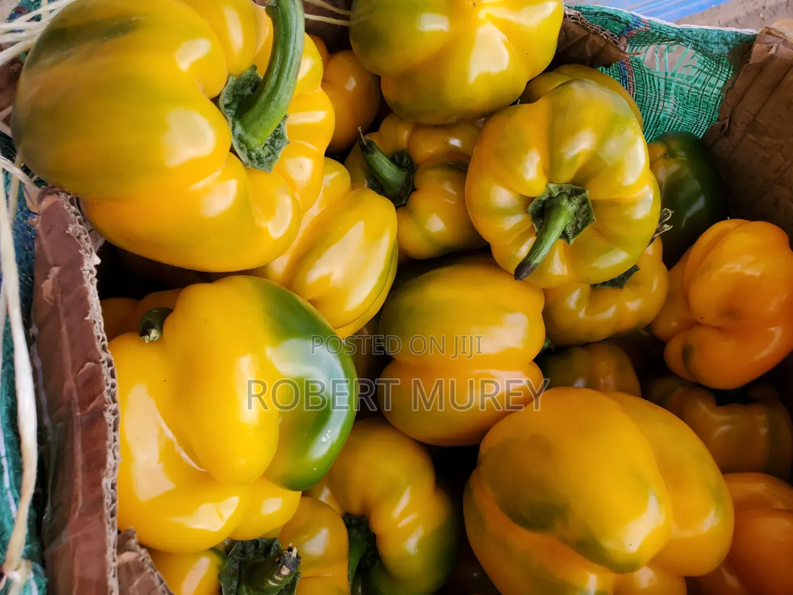 Food Groceries