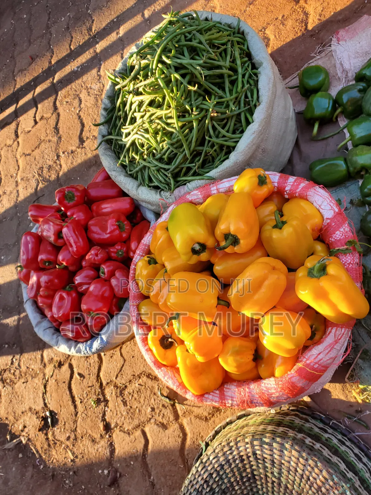 Food Groceries