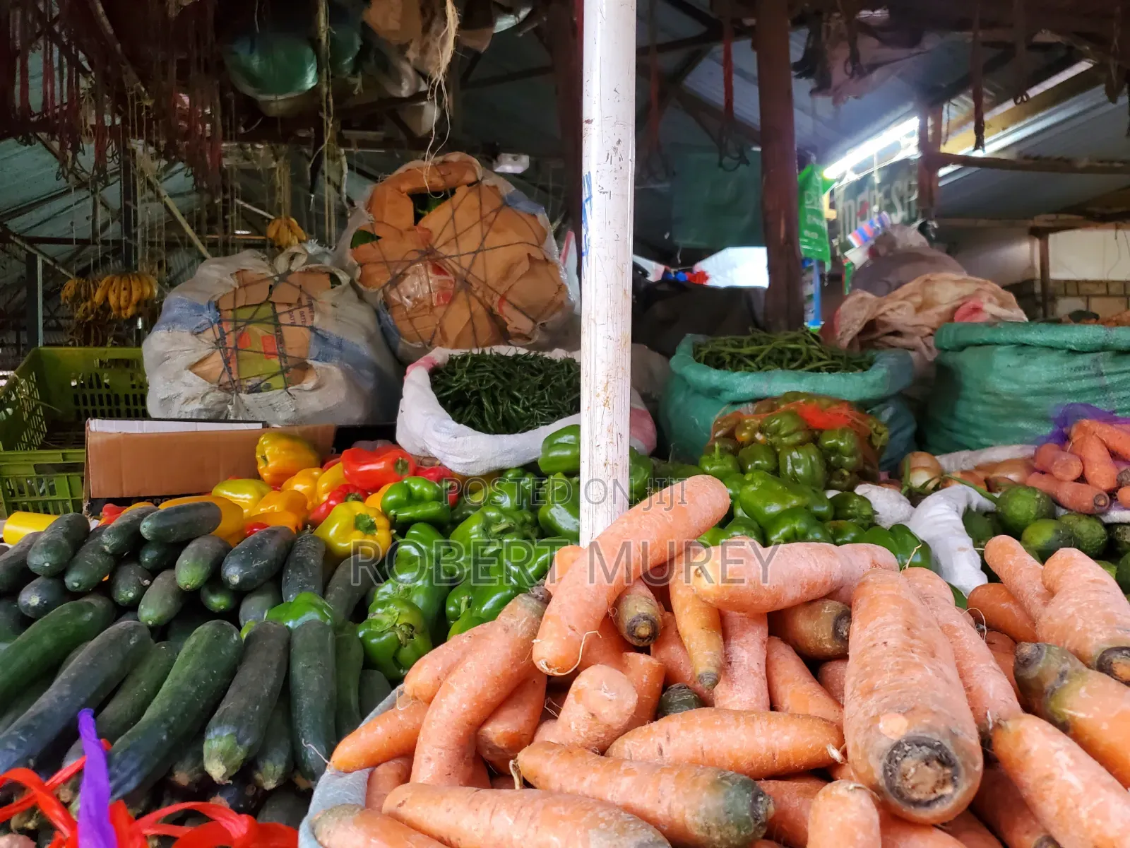 Food Groceries
