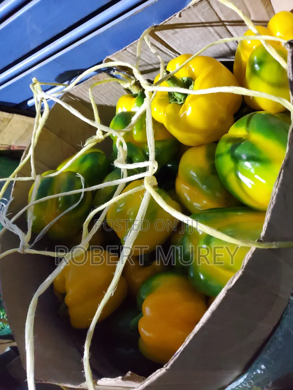 Food Groceries