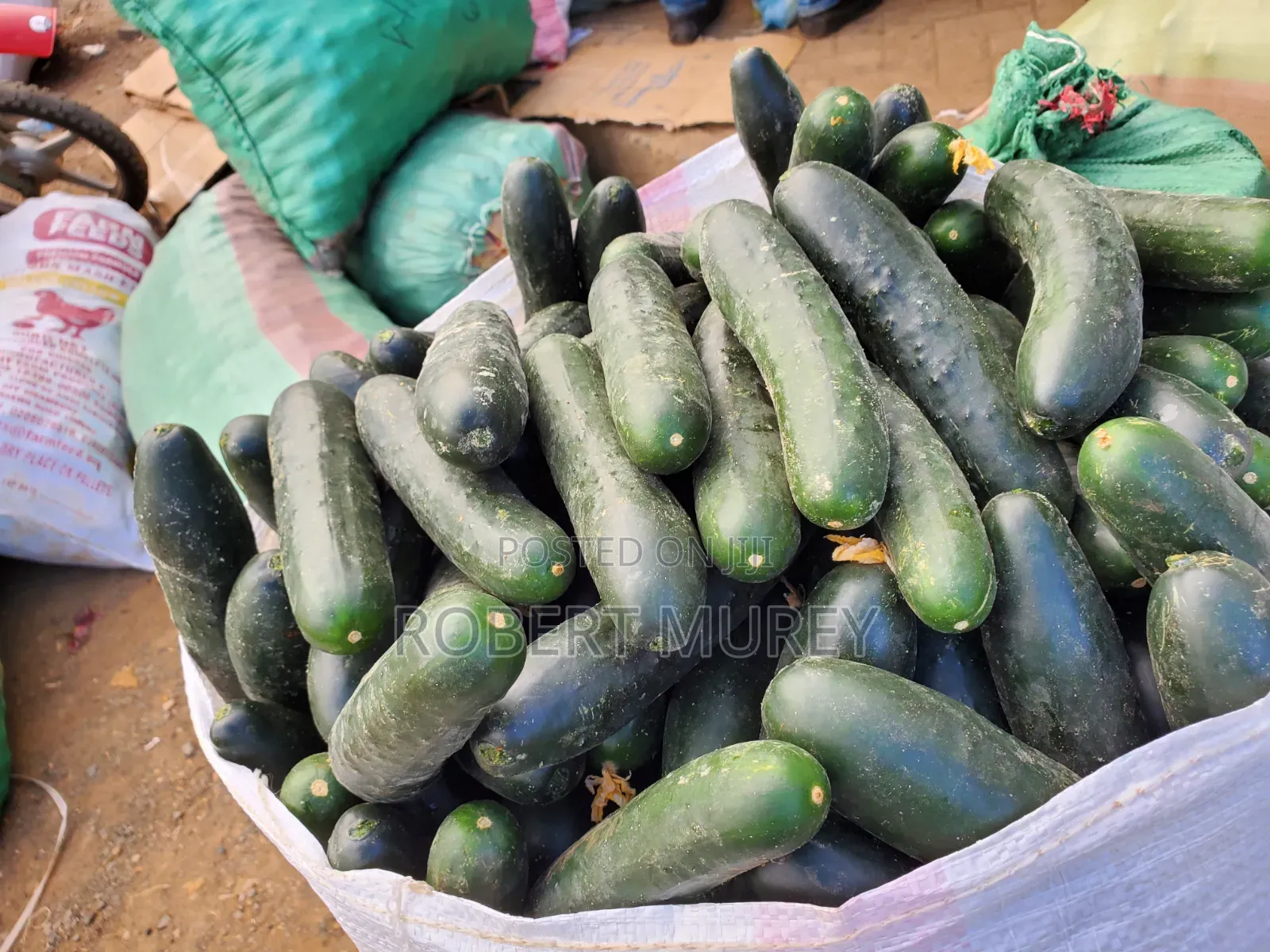 Food Groceries