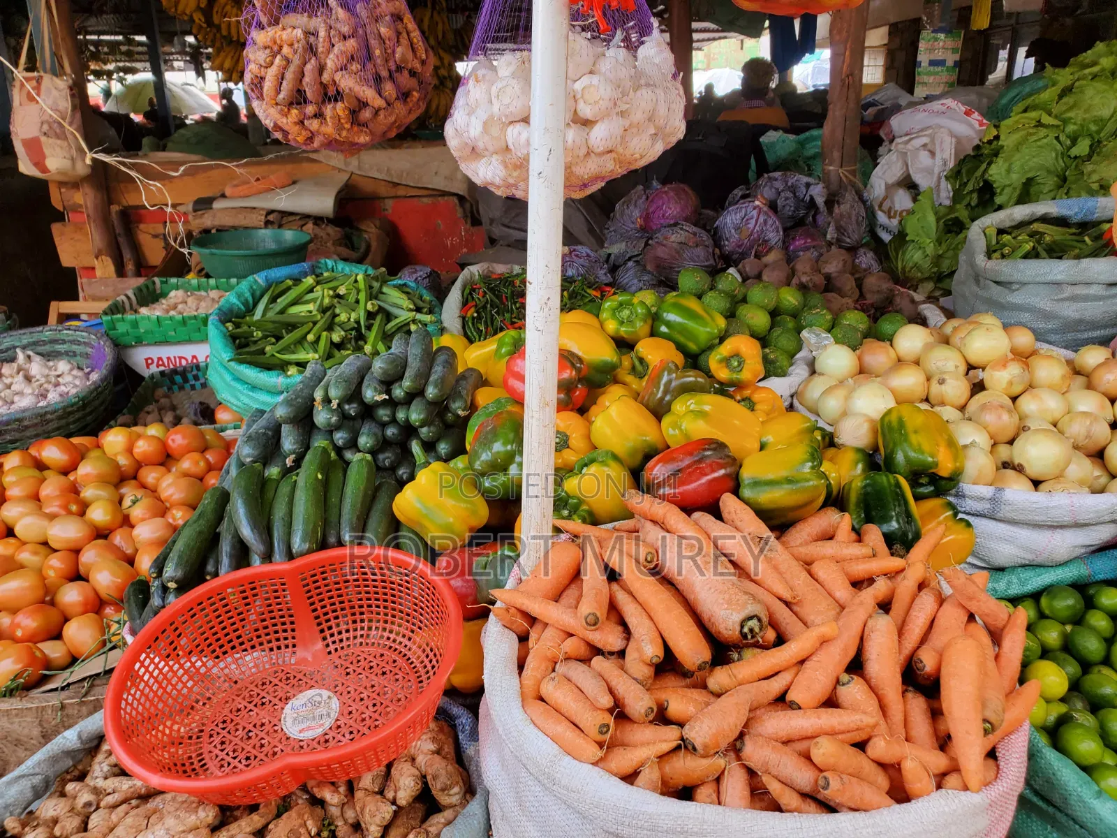 Food Groceries