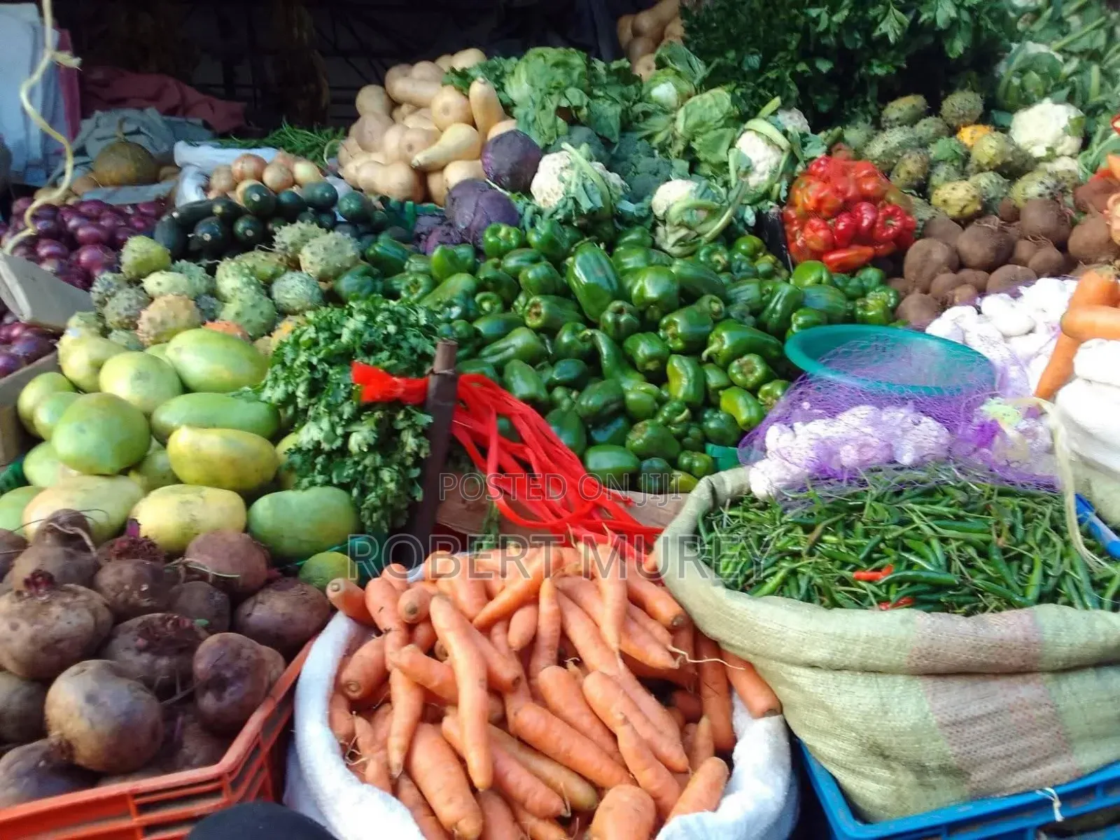 Food Groceries