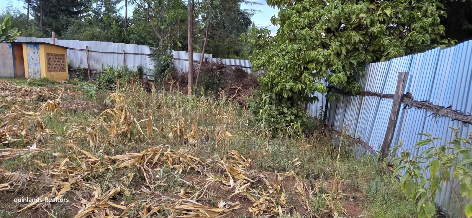Full Plot for Sale in Kipkenyo Eldoret