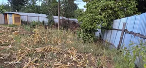 Full Plot for Sale in Kipkenyo Eldoret