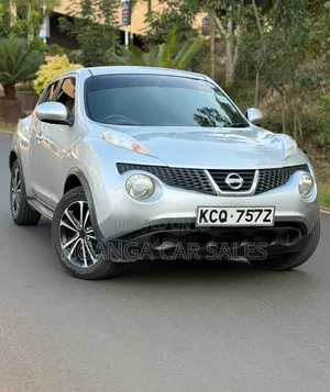 Nissan Juke 2011 Gray