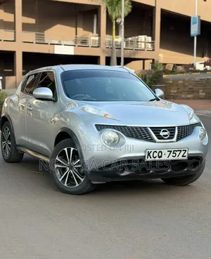 Nissan Juke 2011 Gray