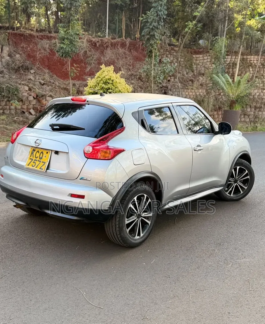 Nissan Juke 2011 Gray