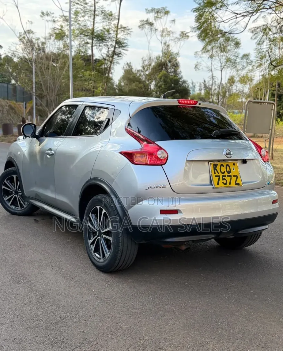 Nissan Juke 2011 Gray