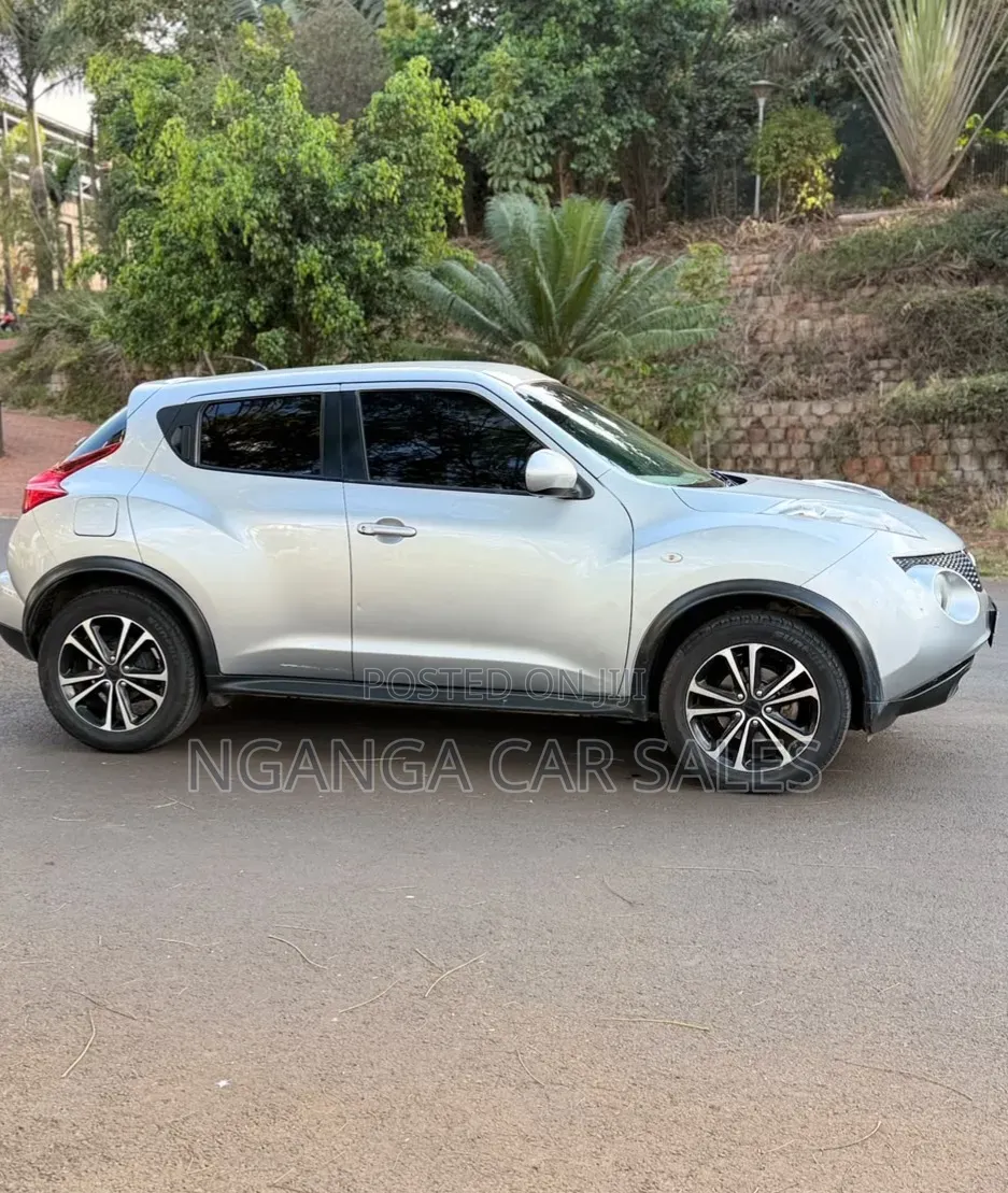 Nissan Juke 2011 Gray