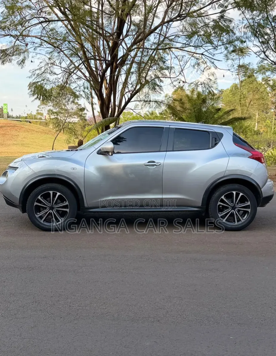 Nissan Juke 2011 Gray