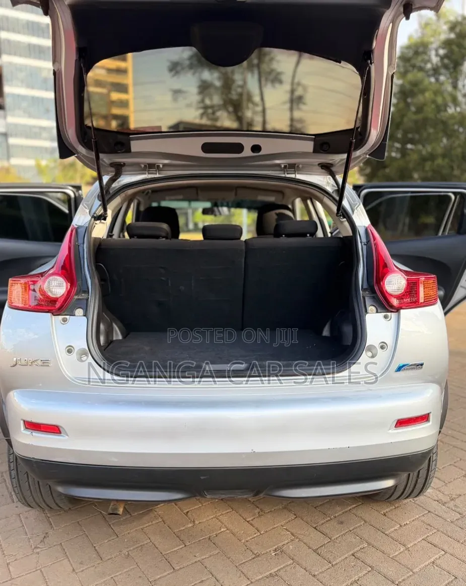 Nissan Juke 2011 Gray