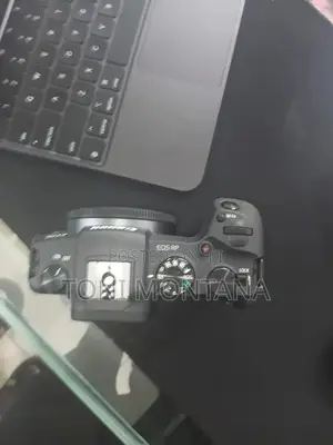 Canon Eos Rp Body