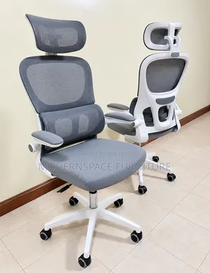 Office Chair , Elgonomic Gray Office Chair