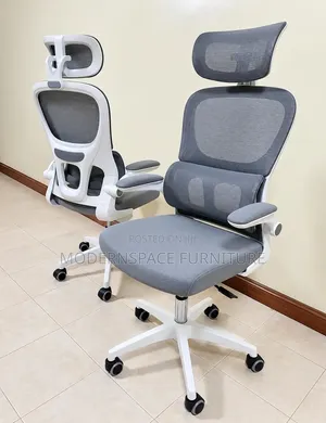 Office Chair , Elgonomic Gray Office Chair