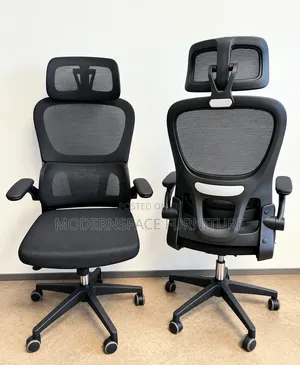 Office Chair: Black Elgonomic Office Chair
