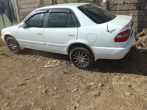 Toyota Corolla 1998 White