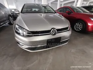 Volkswagen Golf Variant 2019 Silver