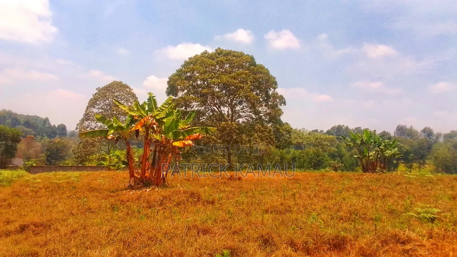 One Acre Tigoni