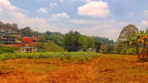 One Acre Tigoni