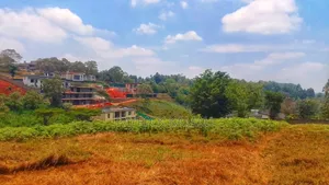 One Acre Tigoni