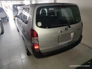 Toyota Probox 1.5 DX 2WD 2020 Silver
