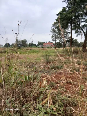 Plots Juja
