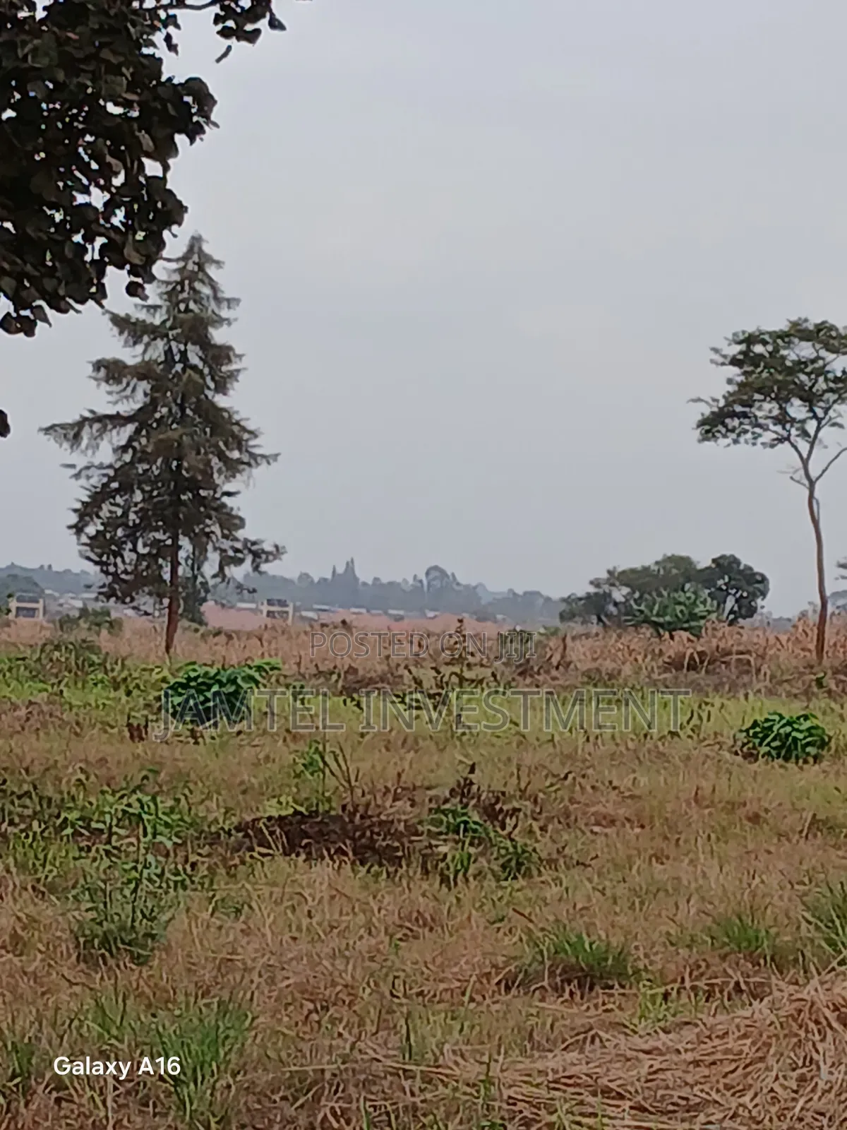 Plots Juja