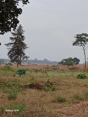 Plots Juja