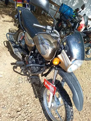 Haojin HJ150-15 2025 Gold