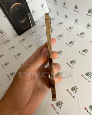 Apple iPhone 12 Pro Max 256 GB Gold