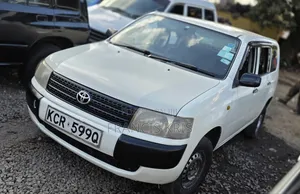 Toyota Probox 2011 Pearl