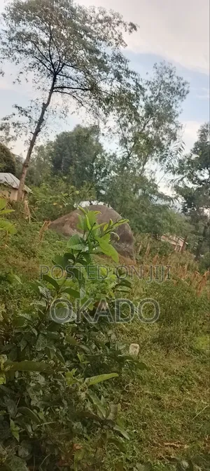 Land for Sell 1/2 Hecre