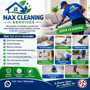 Sofa Set Cleaning Services