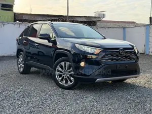 Toyota RAV4 XLE Premium AWD 2019 Black