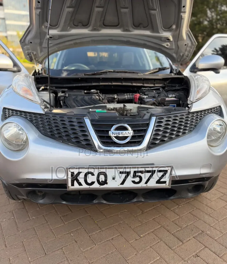 Nissan Juke 2012 Silver