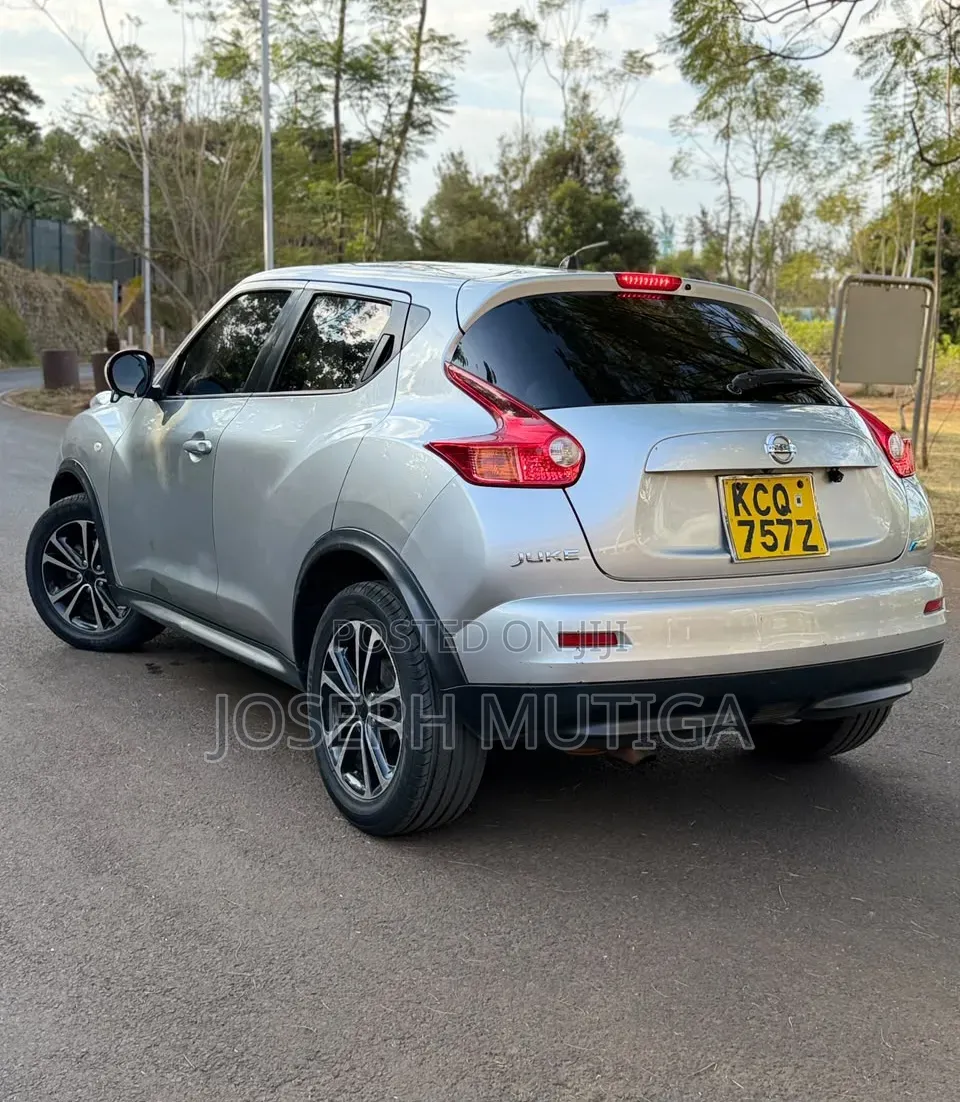 Nissan Juke 2012 Silver