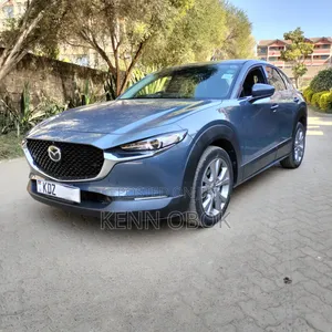 Mazda CX-30 2019 Gray
