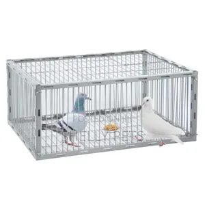 Guinea Fowl Trap