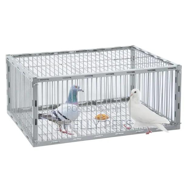 Guinea Fowl Trap