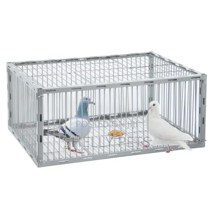 Guinea Fowl Trap